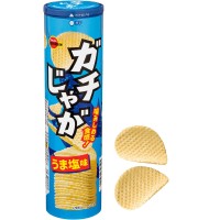 ブルボンの新感覚ポテトチップス「ガチじゃが」、2024年7月16日に新発売！