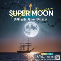 スーパームーンナイトクルーズ:淡路島発、特別な夜景と生演奏を楽しむ体験