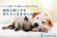 自宅から獣医とビデオ通話が可能なサービス「オンラインどうぶつ病院Talkvets」が提供開始