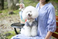 「DJ KOO」さんと「SAM」さんが訪問！ドッグリゾート「with Dogs ホテル フォレストヒルズ那須」の愉快で楽しい体験と、「PAWPAW」新製品の販売開始！