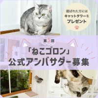 「ねこゴロン」第5回公式アンバサダー募集！共に商品魅力を発信しませんか？