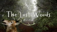 未知の森を探索する新感覚ウォーキングシミュレーター『TheLostWoods / 迷いの森』、2025年1月にSteamリリース決定！