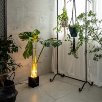 絶対に目が離せない！「gram eight」から、植物を美しく照らし出す新型フロアランプが登場