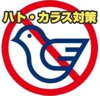 「はとクリーン からすクリーン泡スプレー」モニター募集！鳩・カラス被害対策に効果的な忌避剤で快適な生活を