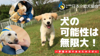 目標達成に向けて残りわずか！日本介助犬協会のクラウドファンディング