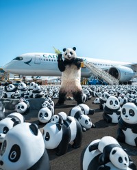 「PANDA GO! 香港遊」で活躍、特殊造型スタジオ ゼペット制作のリアルパンダスーツ