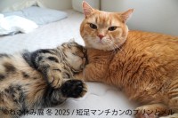 『ねこ休み展』が10周年、豪華クリエイターが集結する冬の祭典が開催！