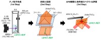 水中の微量なナノ粒子検出に革新的な手法発表