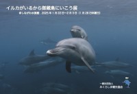 東京・品川「しながわ水族館」が開催する第13回「イルカがいるから御蔵島にいこう展」