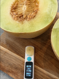 トドクヨが明かす、2025年最も人気のメロンは？- 全国糖度ランキング上位3品種を紹介