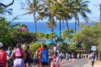 JALホノルルマラソン2025のエントリー開始！