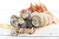 夢のフェリー跡地「淡路島タコステ」、浜焼きの提供をスタート！