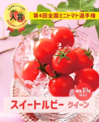 「BimiSmileスイートルビークイーン」が第4回全国ミニトマト選手権で入賞、フレスタホールディングスのおいしさ追求が結実
