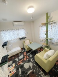 国内最大級の個室型猫専用ペットホテル「猫ホテル bell」が名古屋にオープン