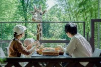 市原市のアニマルグランピング「THE BAMBOO FOREST」、「キリンと朝食」オプションと夏限定イベントを再開