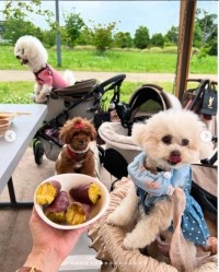 「GoodBBQ」に新アンバサダー19名が就任・5つの新サービス開始！