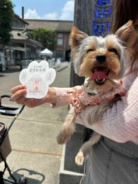 ペットと一緒に観光！富岡製糸場でペット同伴見学範囲拡大と「富岡肉球スタンプ」デビュー