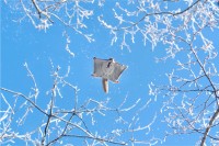 北海道の美しさを写真で表現！「第8回北海道撮影ポイントランキング年間グランプリ展」が開催