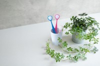 日々の「舌磨き」でオーラルフレイル予防に！