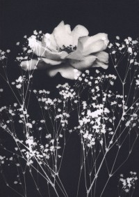 日本とスウェーデンの学生が写真の未来を考える写真展を開催