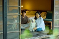 愛犬と心ほどける、赤城山の古民家リトリート「懐（ふところ）」が誕生― 100年の歴史を受け継ぎ、現代の癒しへ ―