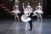 熊川哲也 K-BALLET TOKYOの2025年秋公演『ドン・キホーテ』開幕