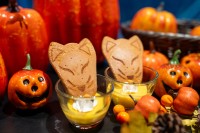 「和の仮装で楽しむハロウィン」をNazunaの京都町家旅館で楽しむ