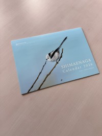北海道撮影ポイントとタッグを組んだ「シマエナガカレンダー2026」、マテックプロダクツから新発売