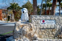 「Awaji Lanikai Festa in Autumn 2025」〜淡路島でハワイアン風の特別な秋を過ごそう〜