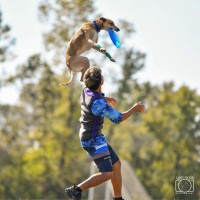 秋も続投！「第2回 Happy ワンDays フェスタ」開催予定、よりパワーアップした内容で愛犬家に贈る楽しい3日間が始まる