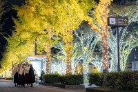 和歌山市が彩る光の祭典「けやきライトパレード」-全長3km、130万球のイルミネーションストリートに500機のドローンショーも