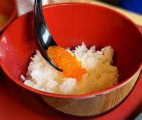 ニジマスの採卵体験と生しぼりイクラ丼を味わうイベント開催