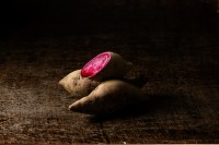 ユニークな洋菓子ブランド「ミツロ/MITZLO」が誕生、無添加のサツマイモ蜜を活かした商品が銀座三越でお目見え