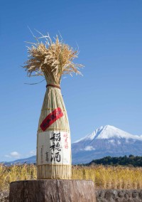 富士錦酒造株式会社が今年も「富士錦 純米稲穂酒」を発売開始