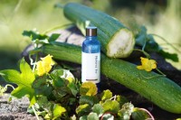 「減らす美容」の理念で再生する、ネオナチュラルのオーガニックコスメ、「ヒーリングローション」がリニューアル!