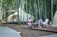 25歳以下限定！バンブーフォレストから25％OFFのグランピング新プラン