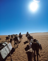 「塩の旅～地球の塩の現場に立つ～」片平孝写真展、たばこと塩の博物館で開催