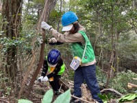 親子で挑む本格森づくり  「六甲山の森づくり」体験ボランティア募集