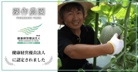 深作農園、茨城県で初の健康経営優良法人に認定！-認定記念キャンペーン実施のお知らせ-