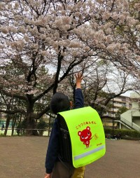 コープ共済連、新小学1年生の交通事故防止へランドセルカバーを全国で寄贈