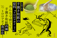 手漉き和紙原料「トロロアオイ」の生産支援と食品開発「わしのねりプロジェクト」参加者募集