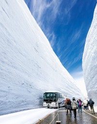立山黒部アルペンルート、2026年4月15日（水）全線開通！「雪の大谷」は最高12mに