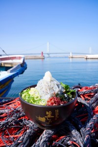 淡路島で「生しらす丼」が今年も開催！16年目の味覚を全島で堪能