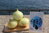 「淡路島の新玉ねぎ」オンライン販売開始！道の駅あわじの人気商品を全国へ