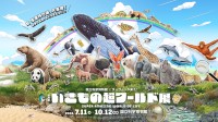 特別展「いきもの超ワールド展」開催！国立科学博物館とNHKが贈る、驚きと感動の生存戦略