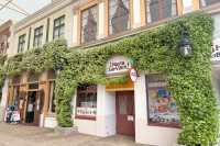 志摩スペイン村、スタージャスミンが見頃を迎える