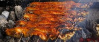 備長炭手焼きうなぎ専門店「うな亭 楽天市場店」オープン記念キャンペーン実施