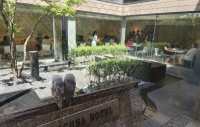 「ダイニングカフェ チグサ」の選べる御膳ランチ、驚異的な集客実績と高い顧客満足度を記録