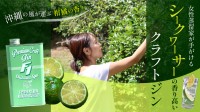 勝山シークヮーサー香る新感覚ジン「F1ジン タートルグリーン」 那覇晴蒸留所より限定リリース