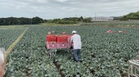ナサ工業、ブロッコリー収穫後の運搬負担を軽減する電動台車を開発